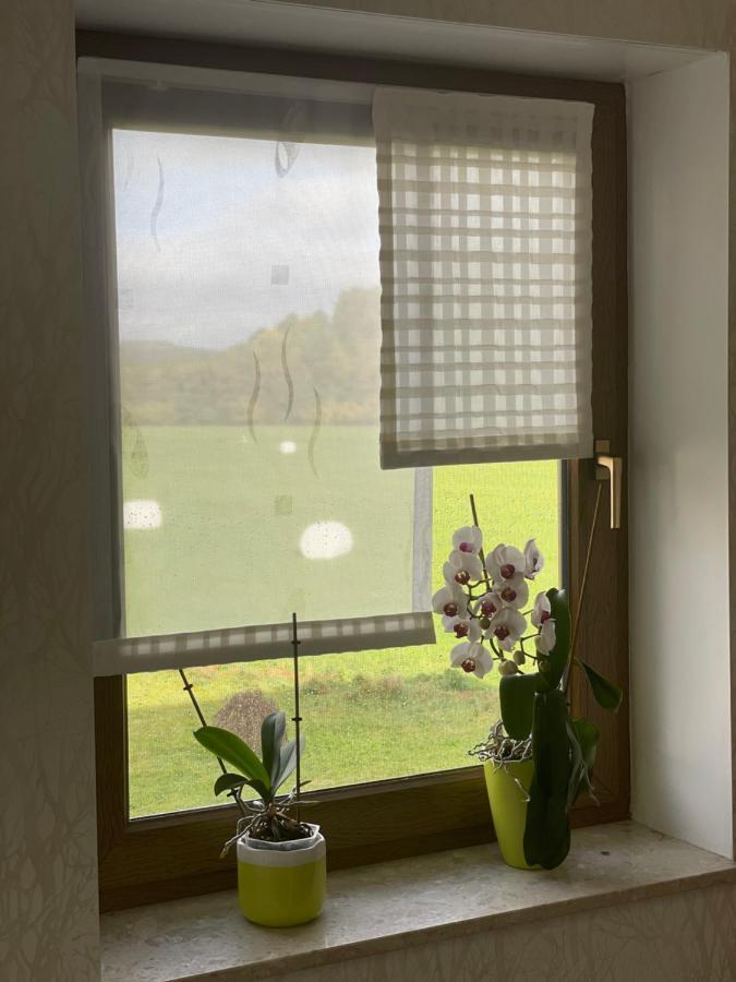 Ferienwohnung Fam.Werner Wasungen Dış mekan fotoğraf
